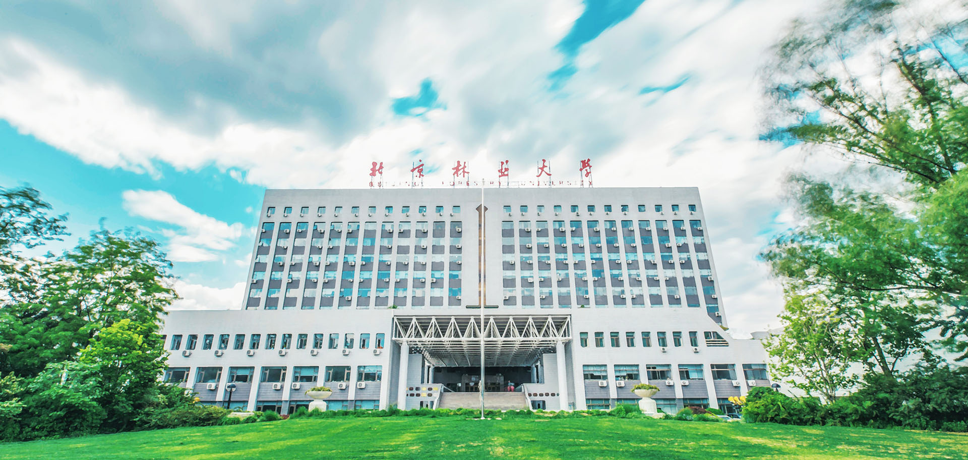 北京林业大学-预备版本科招生智能咨询系统