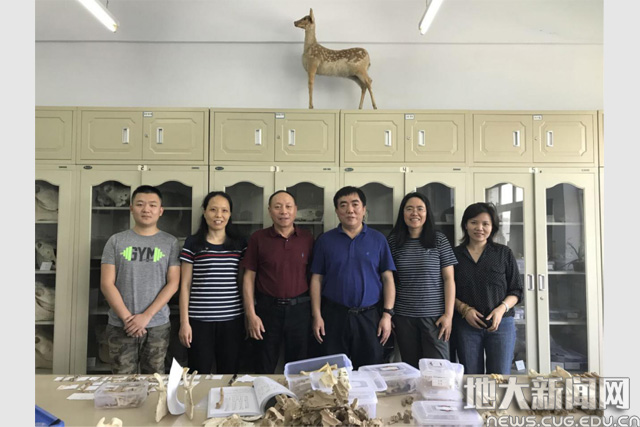 “世界首例大熊猫古基因组”入选2019年度中国古生物学十大进展