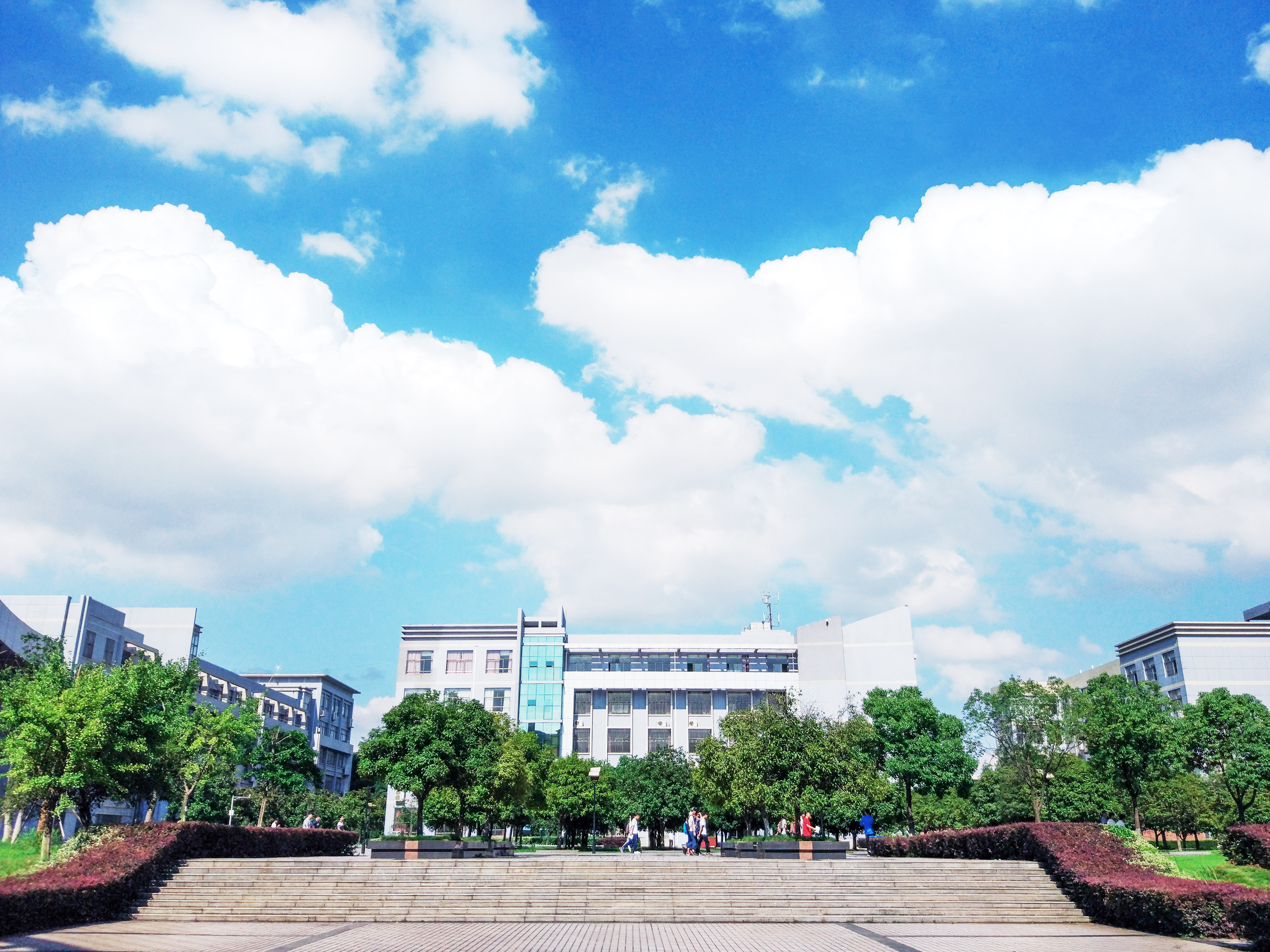 伟德国际武汉工程大学8个学科入选2025“软科世界一流学科排名”