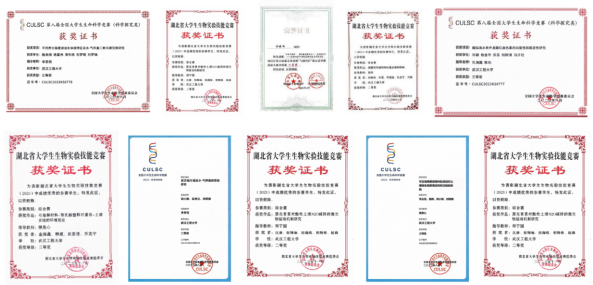 4c7fd6c1-45de-4823-9825-d38532c216ef.png